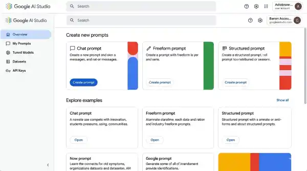 Google AI Studio Homepage